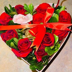 Meet your Posher, Amelia